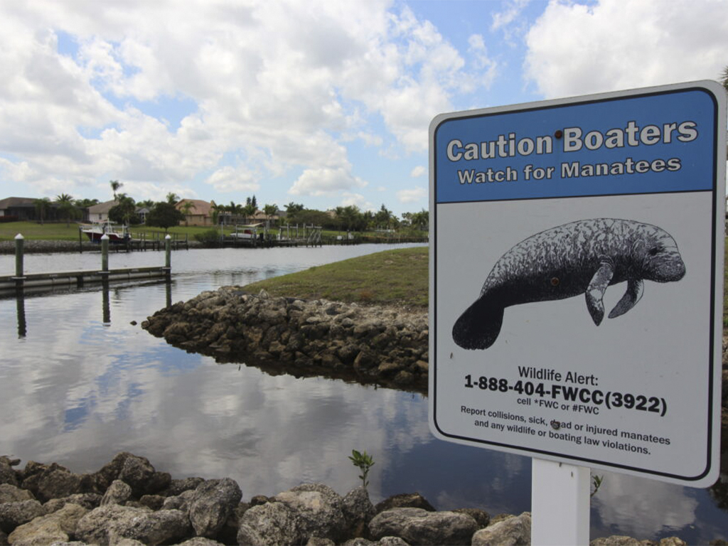 port-st-lucie-1